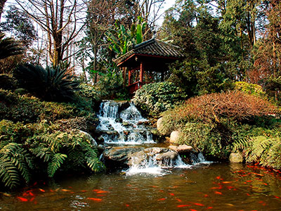 Water Features, Orchid Island, FL