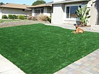 Synthetic Turf